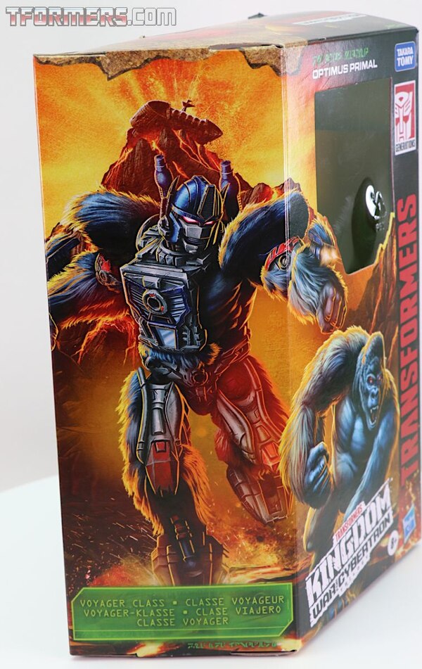 Transformers Kingdom Wave 1 Optimus Primal  (33 of 55)